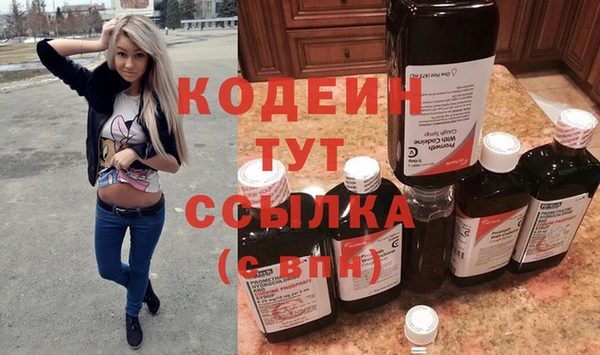 mdpv Вяземский