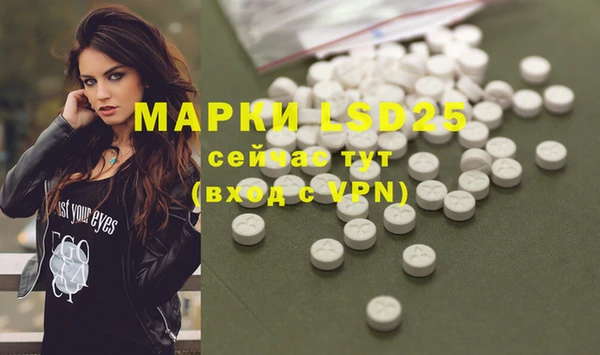 mdpv Вяземский