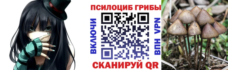 Галлюциногенные грибы мухоморы  OMG сайт  Дудинка 